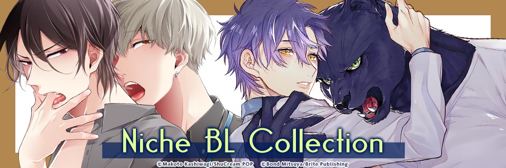 Niche BL Collection